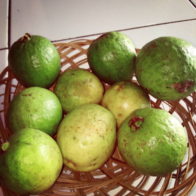 

Jambu merah