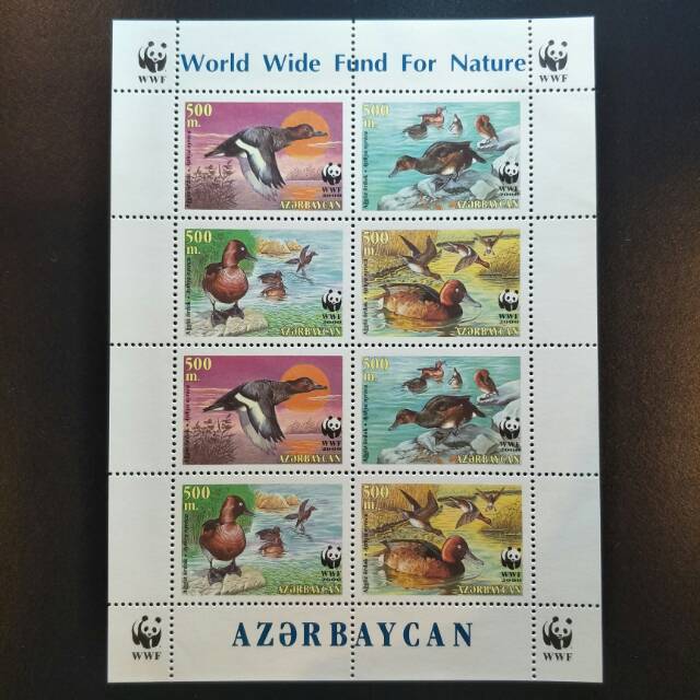 

Mini Sheet Perangko Azerbaijan - Bebek Pochard - Prangko Koleksi