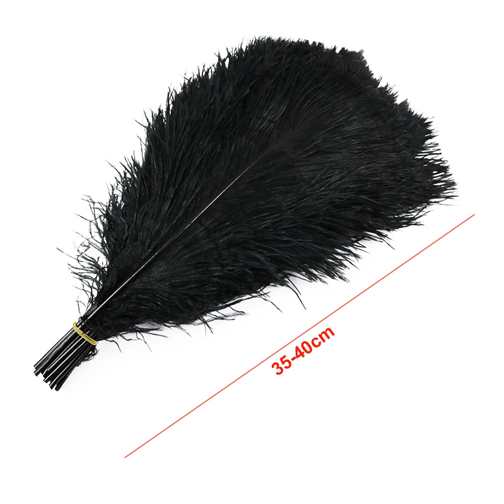 10pcs Dekorasi Bulu Burung Unta Model Serba Guna Untuk Pesta