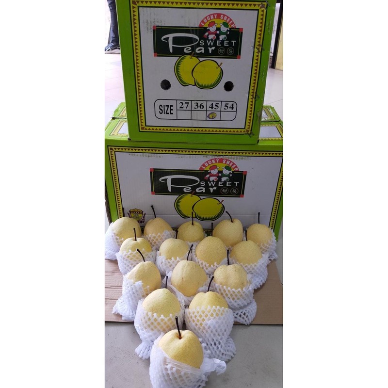 

Sweet Pear Pir Madu Gongli [ 500 gram ]
