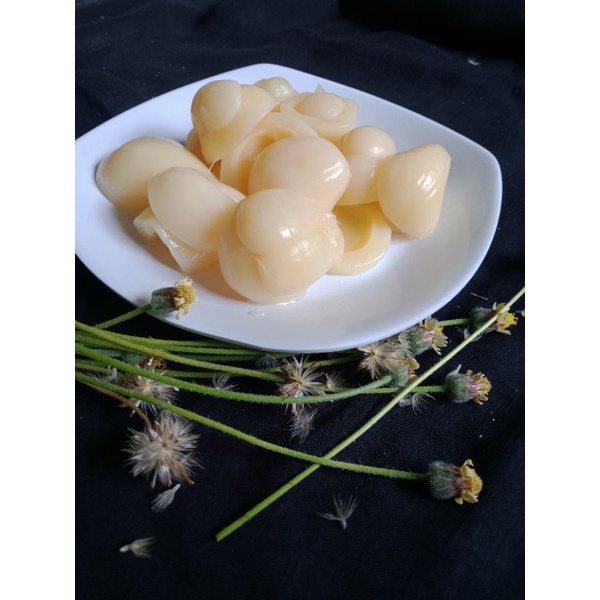 

salak terlaris salak manisan 1 kg