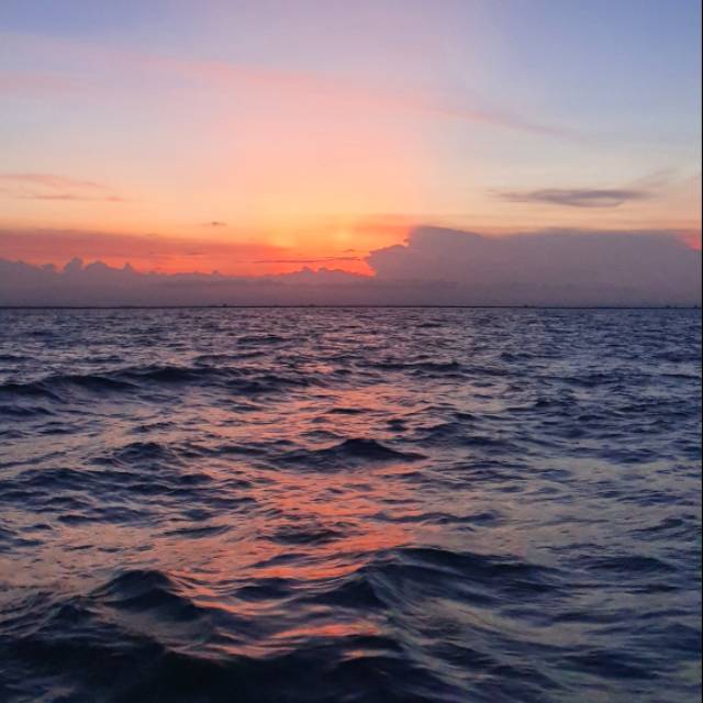 Jual Air laut Selat Malaka / Malacca strait water Shopee Indonesia