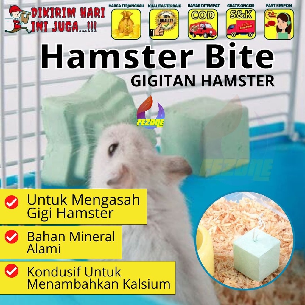 Batu Gigitan Hamster Gnawing Stone Chincilla Mainan Hamster FEZONE