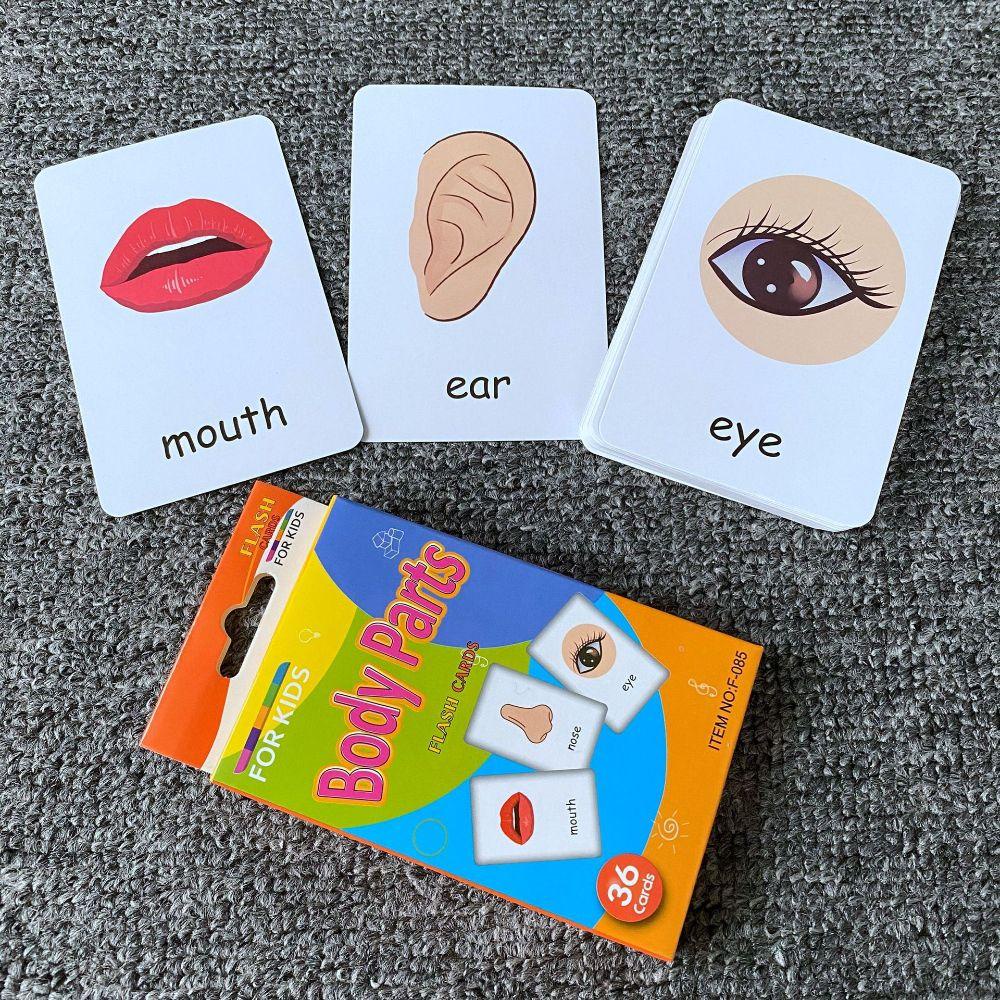 Needway Flash Card Makanan Anak Alphabet Animals Warna Mainan Edukasi Belajar Bahasa Inggris