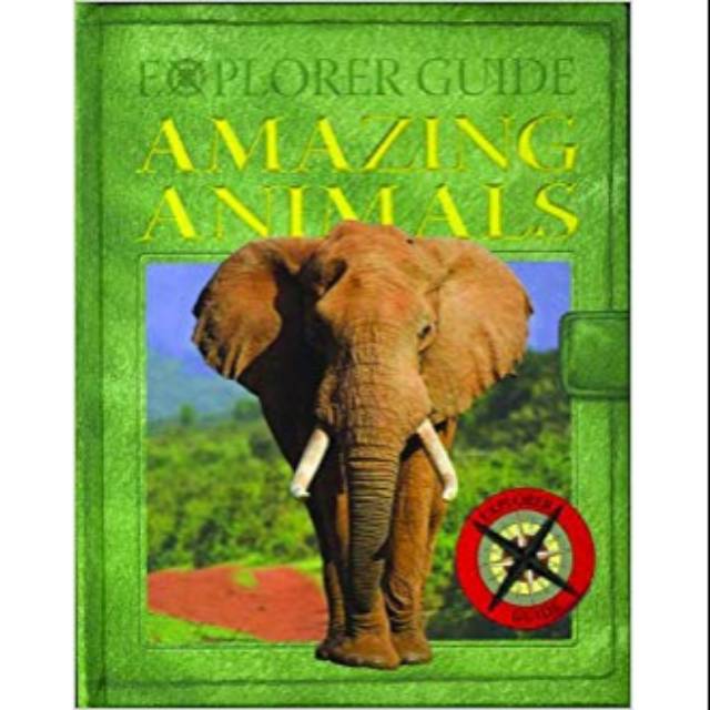 Amazing Animals