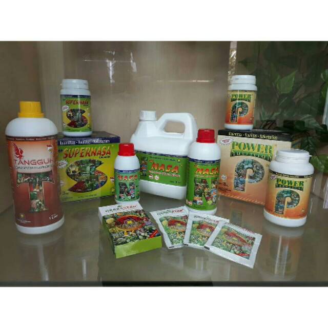 BUDIDAYA PADI DENGAN PUPUK NASA