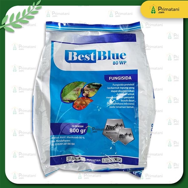 BestBlue 80 WP 800 gr