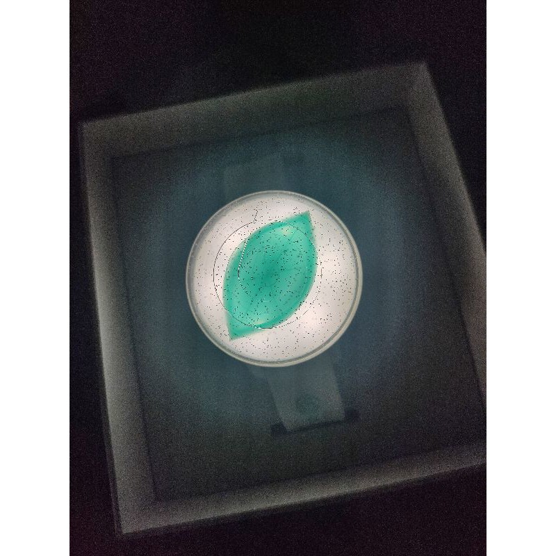 DAY6 LIGHTBAND VER.1