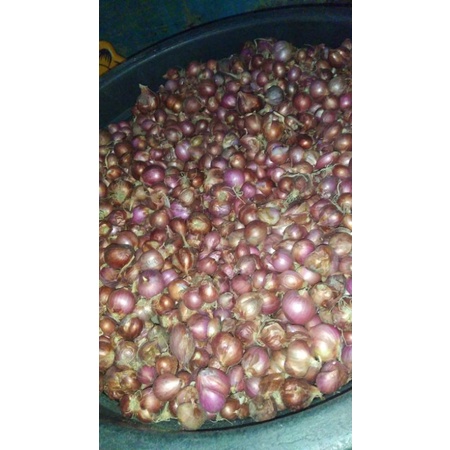

Bawang Merah