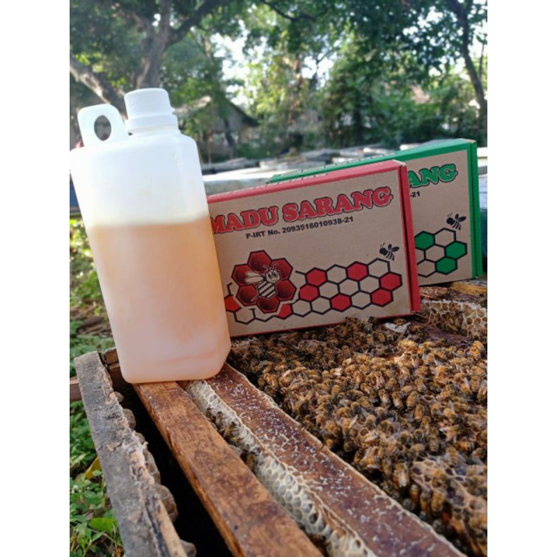 

Madu Apis Mellifera ( Multiflora ) 1 kg
