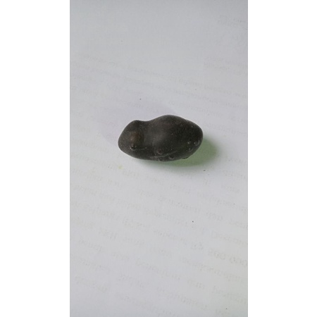 Cangkang PuQi soft frog 2,7 cm hitam