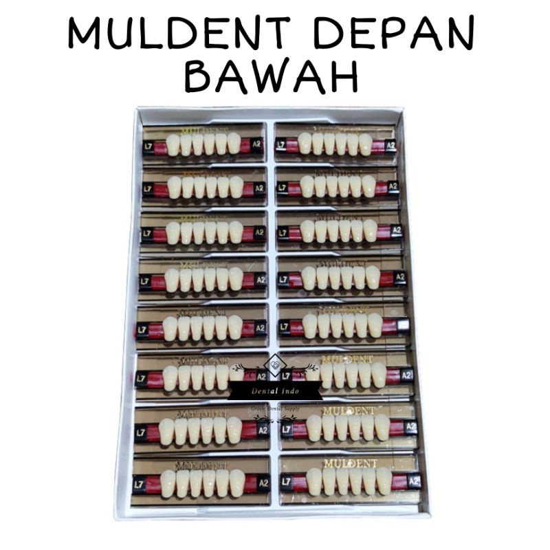 Muldent Gigi Palsu Depan Bawah Per Baris / Papan