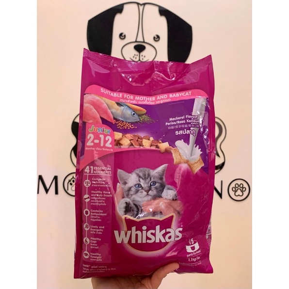 Jual whiskas makanan kucing kering 1.1kg (kitten dan adult) Shopee