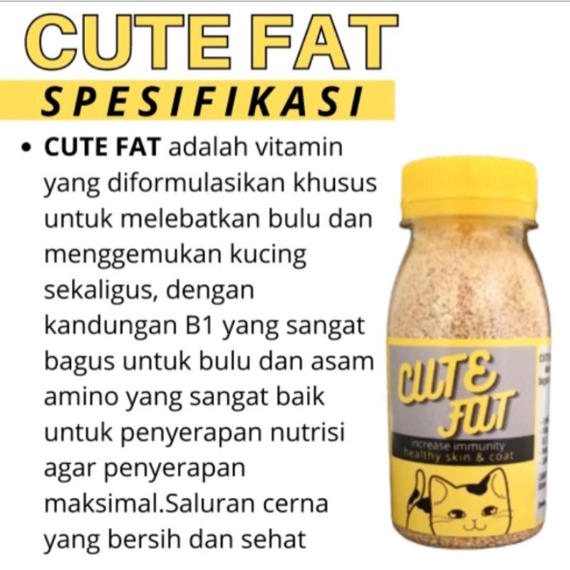 VITAMIN PELEBAT BULU DAN PENGGEMUK KUCING CUT FAT