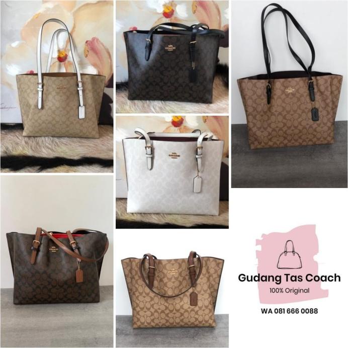 Bag Canvas - Tas Wanita Coach Original Mollie Tote In Signature Canvas