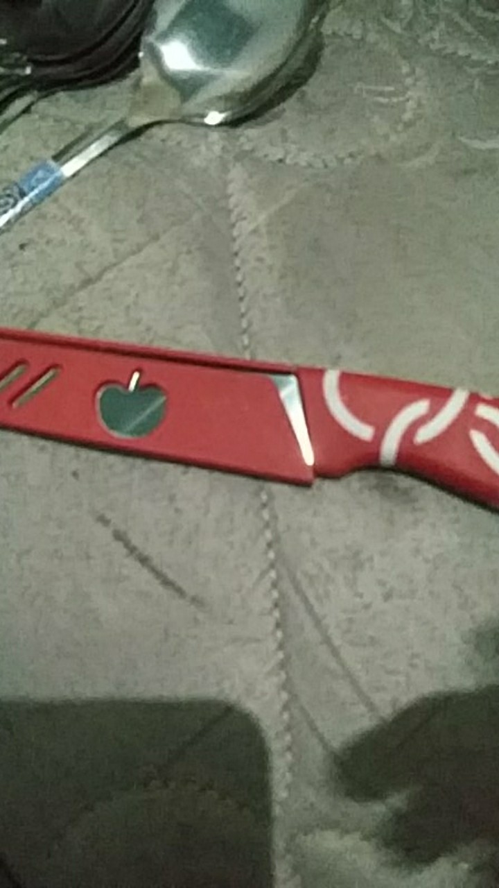 Pisau Buah Sayur Makanan Kitchen Set Stainless Steel Knife Dapur Unik / Pisau Apel