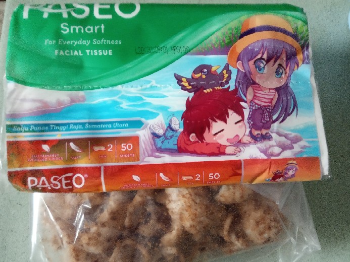 Paseo Tisyue Wajah/ Facial Tissue
