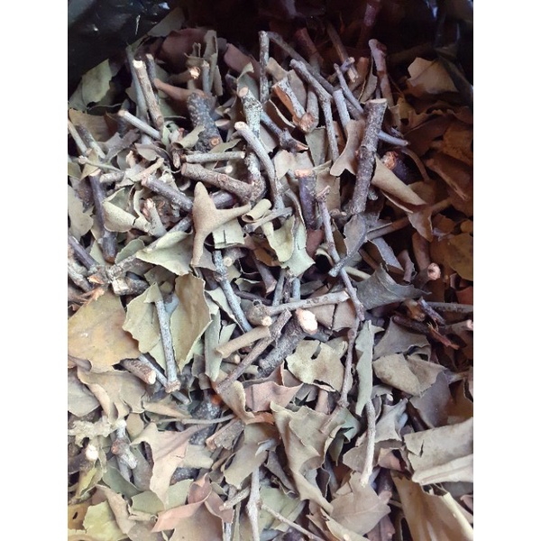 

benalu kelor kering 300gr