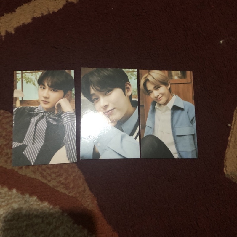 tc En connect jungwon sunoo niki