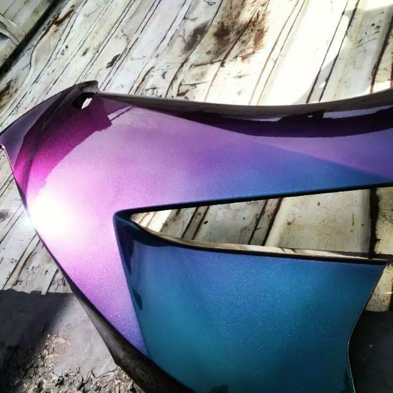 Cat bunglon chameleon