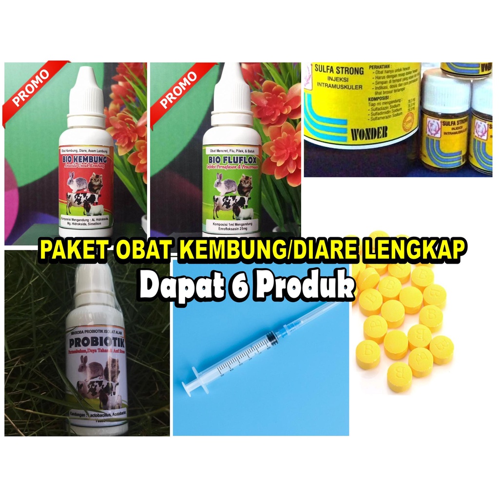PROMO Paket B Obat Kembung Hewan Obat Mencret Hewan Obat Kembung Kucing Obat Kembung Kelinci Obat Ke