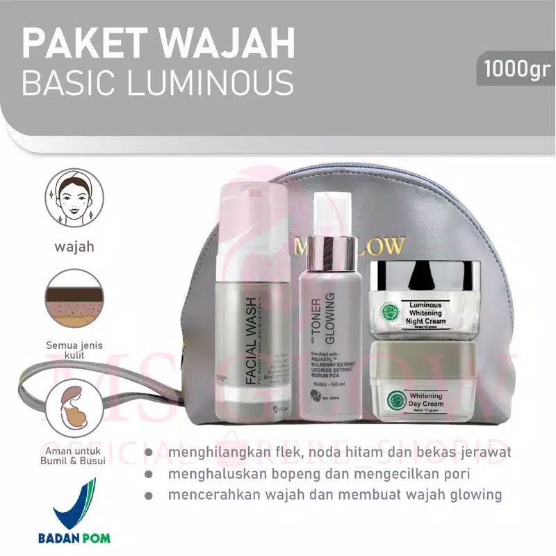 paket Luminous /wajah bopeng