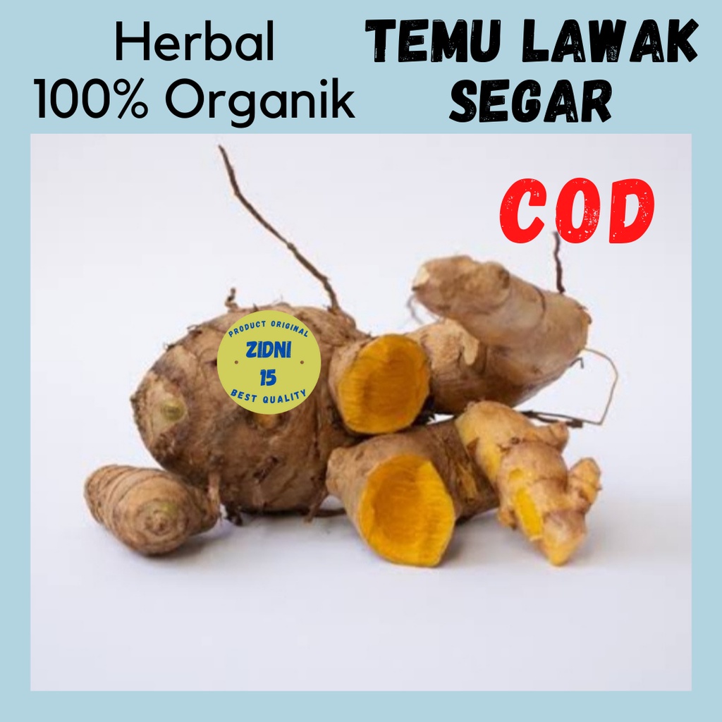 

500g TEMU LAWAK SEGAR BAHAN JAMU JAWA TANAMAN HERBAL ORGANIK