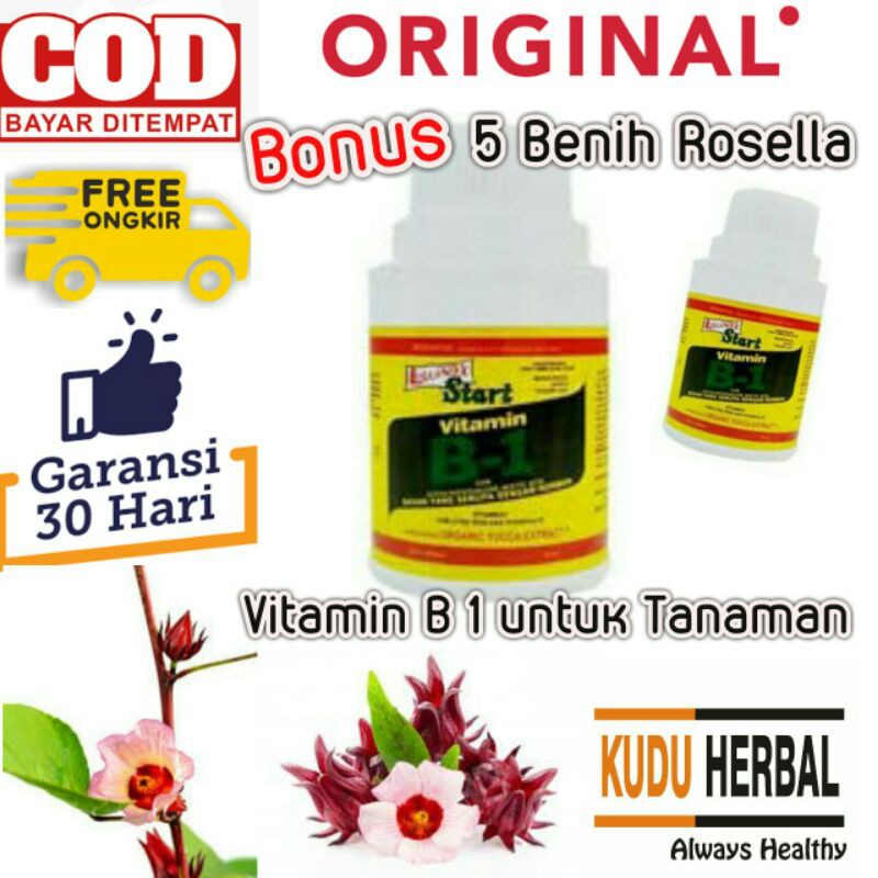 Jual Vitamin B1 Untuk Tanaman I Pupuk B1 I Vitamin B1 I Pupuk Cair ...