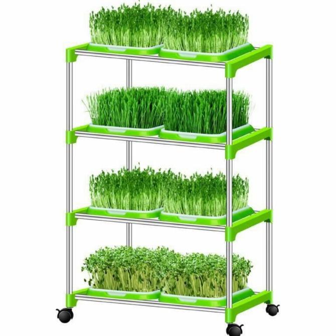 Rak Microgreens termurah