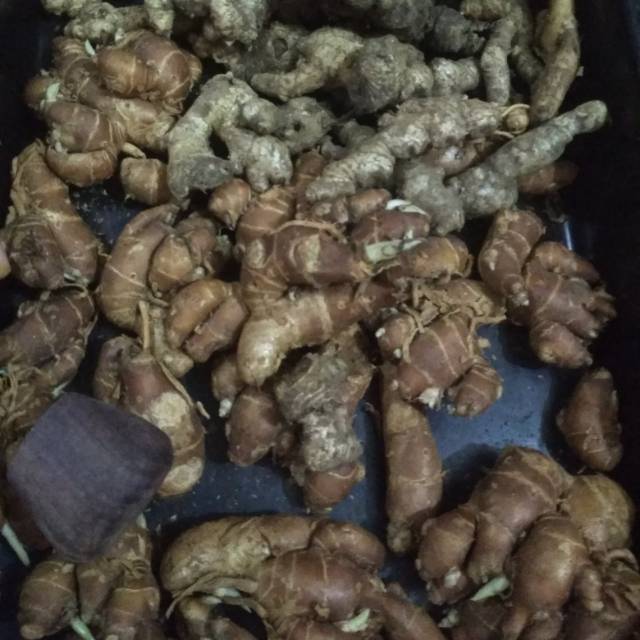 

Jahe merah 1kG
