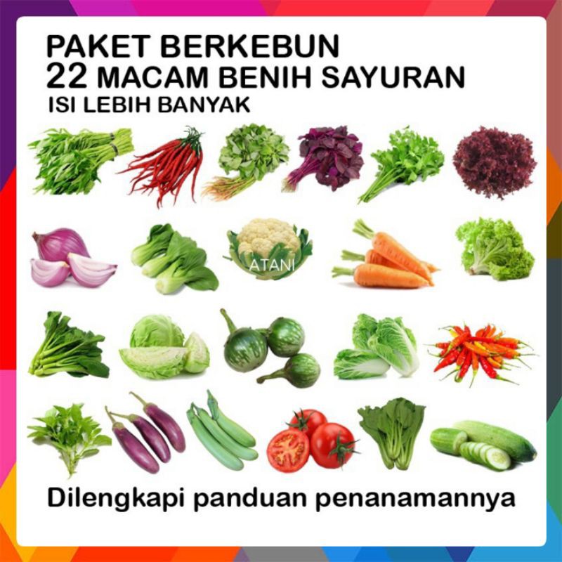 Benih Sayuran 22 Macam Paket Benih 22 Jenis Berkebun Hidroponik