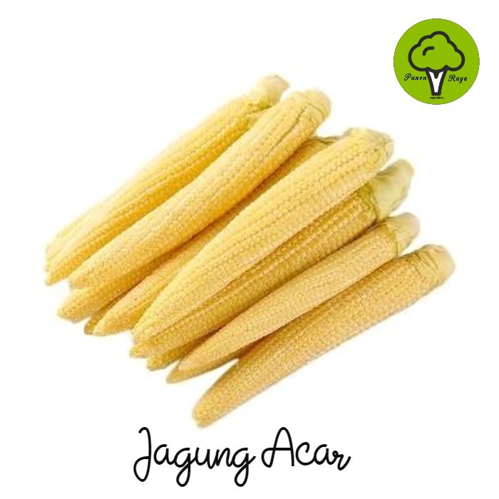 

SAYURAN / JAGUNG ACAR [250GR]