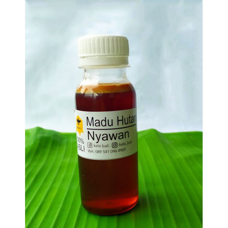 

Madu Hutan /Tawon100 ml