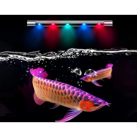 Lampu aquarium celup aquascape Tank 40cm - Putih