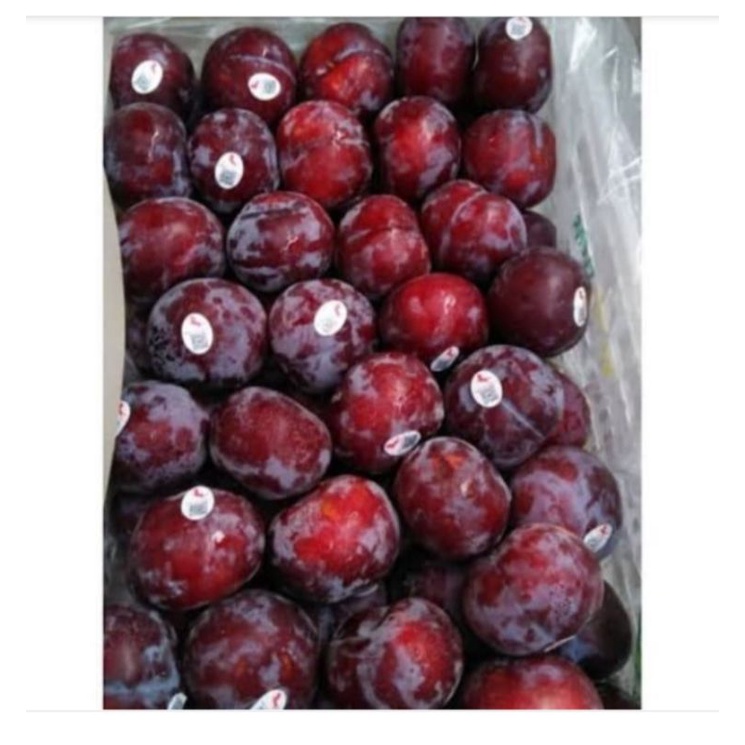 

PLUM HITAM 1KG
