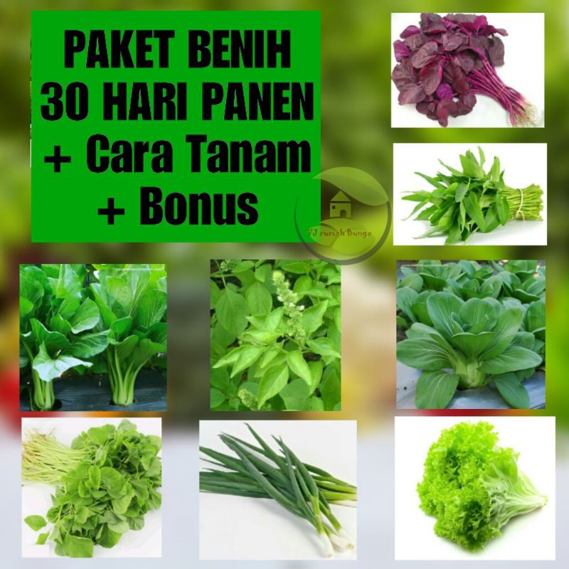 Paket Benih Bibit 8 jenis Sayur 30 Hari Bisa Panen Isi Ratusan Benih Bibit Sayur Unggul Cepat Panen