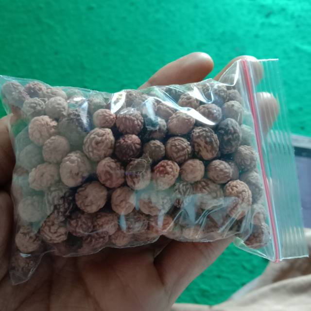 Jual Biji Bidara Arab 100 Gr Shopee Indonesia