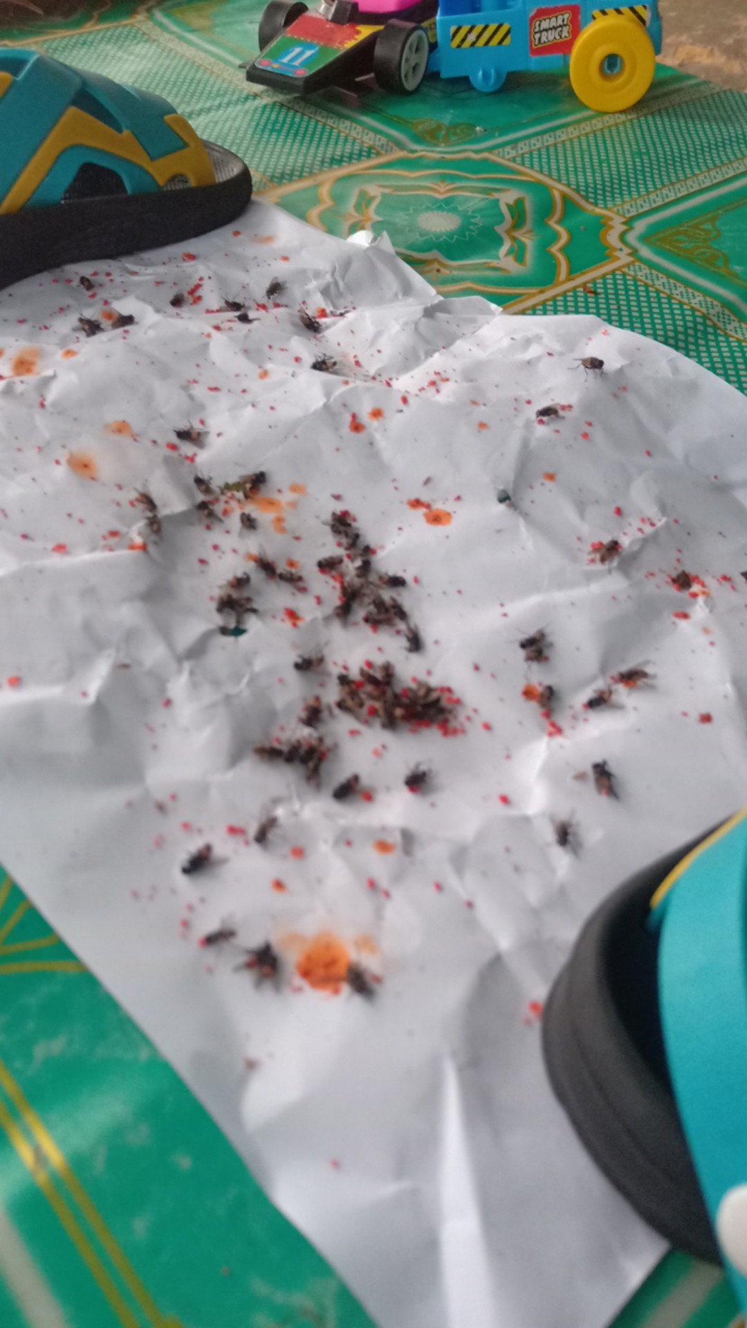 Racun Lalat Zhang Pei Zhen Pembasmi Lalat Laler