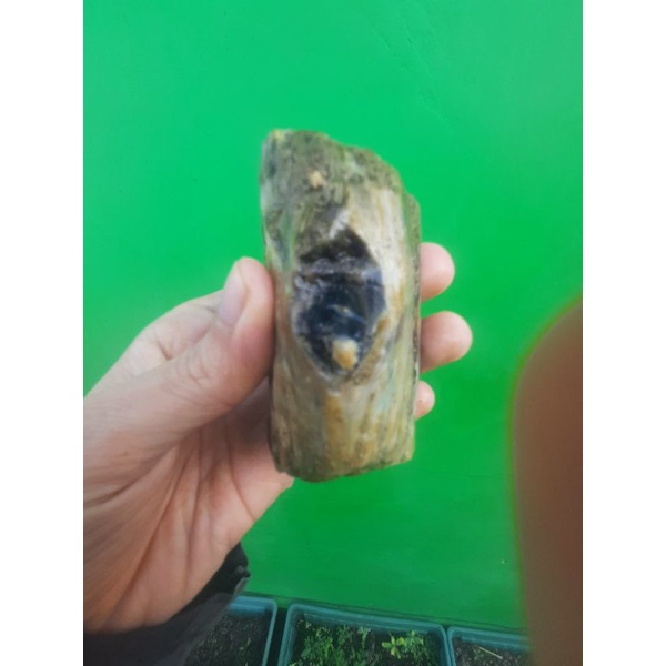 COD Batu sempur kalimaya bule super asli banten jumbo porslent natural