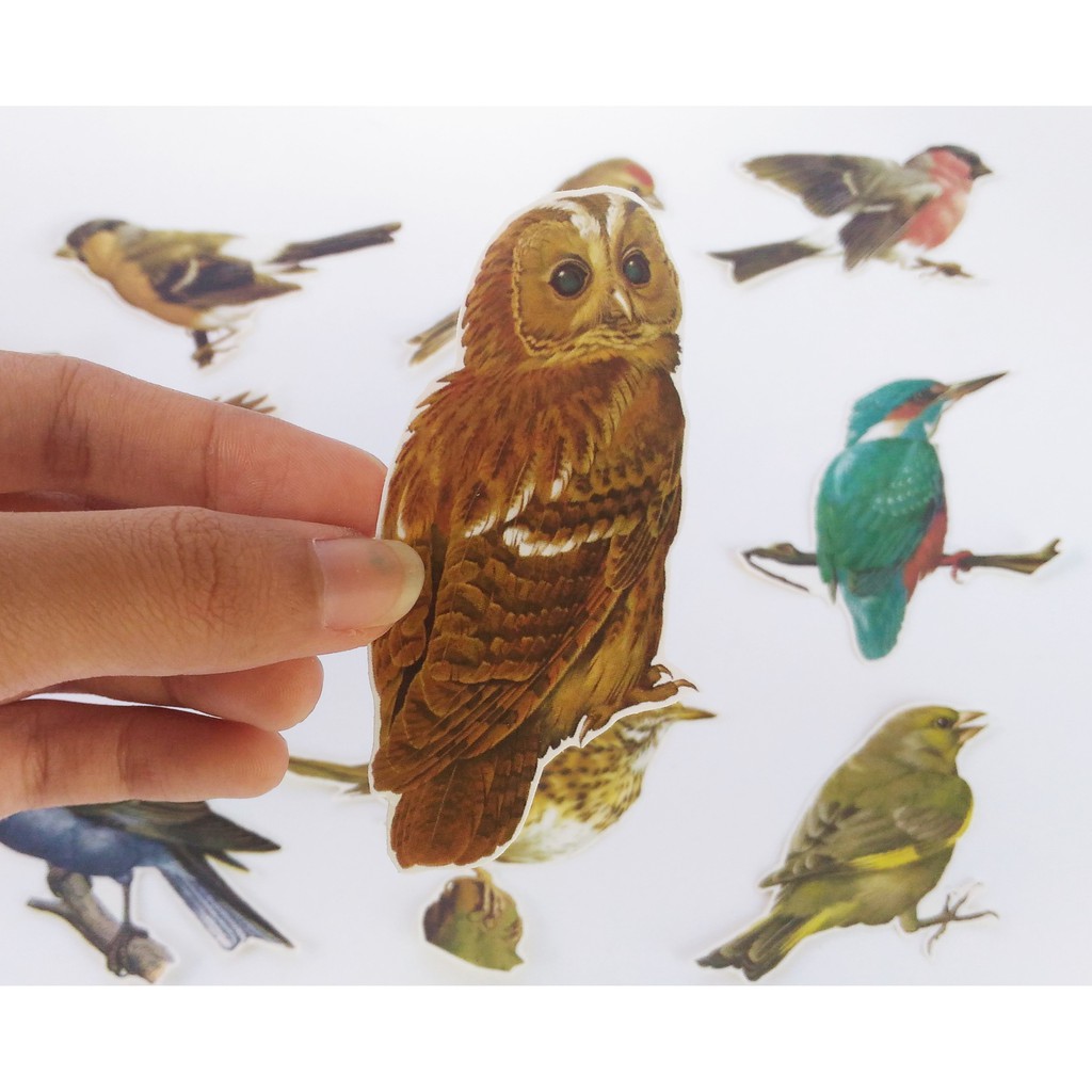 

12 Bird Stickers untuk Dekorasi Journal, Planner, Amplop, Surat