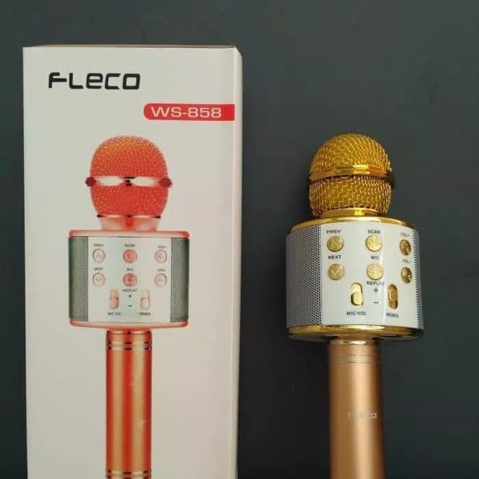 Microphone Fleco Karaoke WS-858 Original