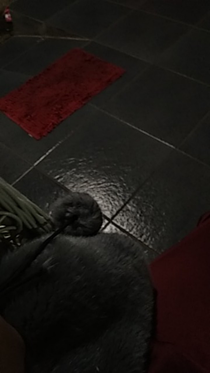 Cod | Tunik Batik Lawasan Coklat Kekinian Modern M - Jumbo