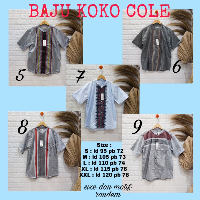BAJU KOKO COLE DEWASA