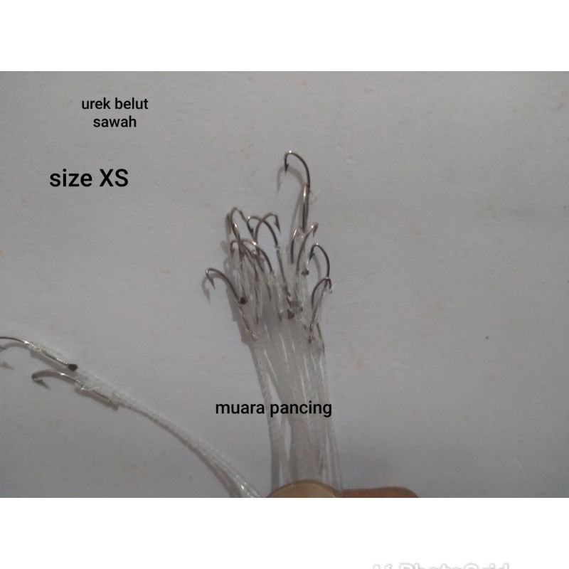 UREK BELUT SAWAH - kail pancing urek