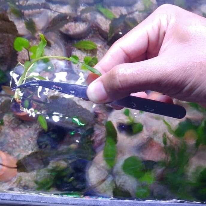 Pinset Aquascape Alat Penjepit Tanaman Set 4 Pcs Tools Set Aquarium