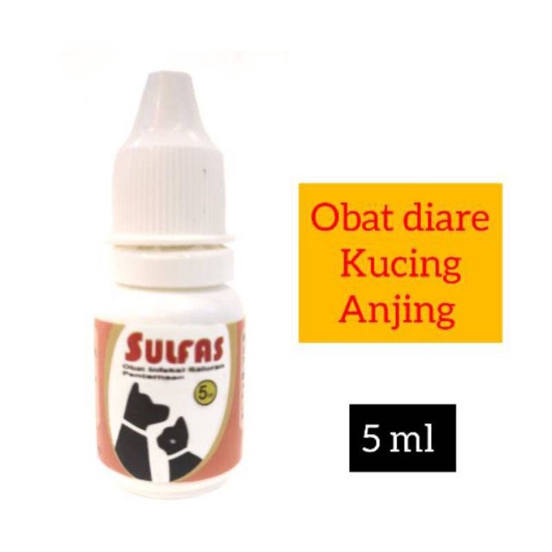 Obat Diare Untuk Kucing Anjing Sulfas