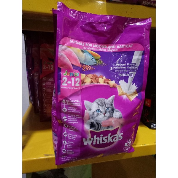 Makanan Kucing - Whiskas Junior Mackerel Flavour kemasan 1,1kg