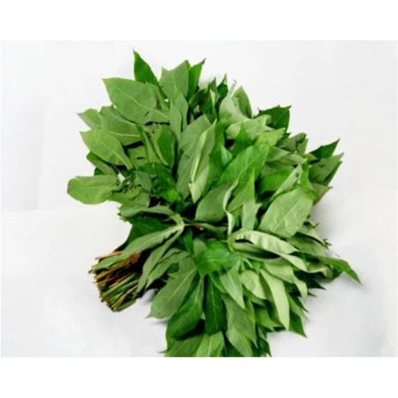 

DAUN SINGKONG PER IKAT