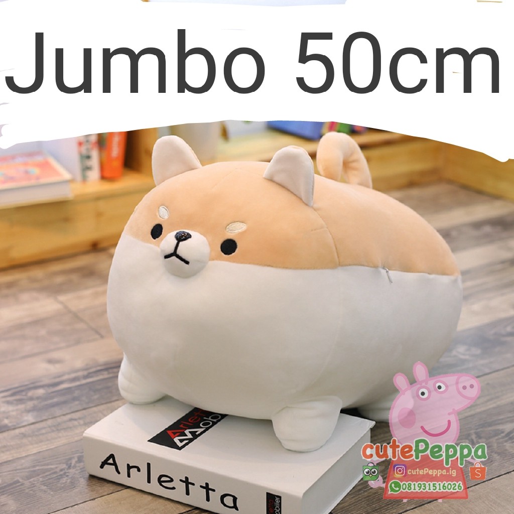 corgi miniso