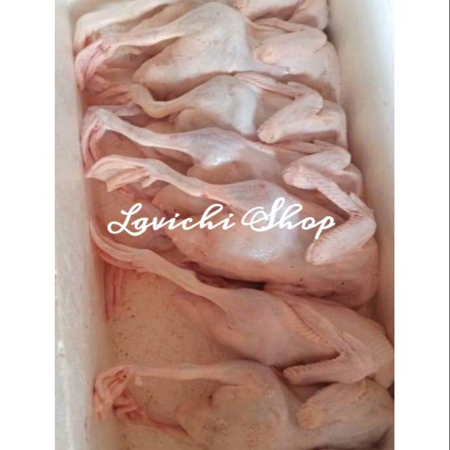 

FROZEN BEBEK PEKING